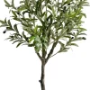 Drzewko oliwne Florino 129