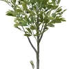 Drzewko oliwne w doniczce Florino 116