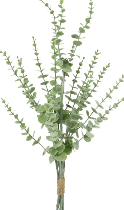 Gałązka eukaliptusa Florino 132