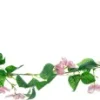 Girlanda Magnolia 21