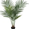 Palma Florino 136 (135 cm)